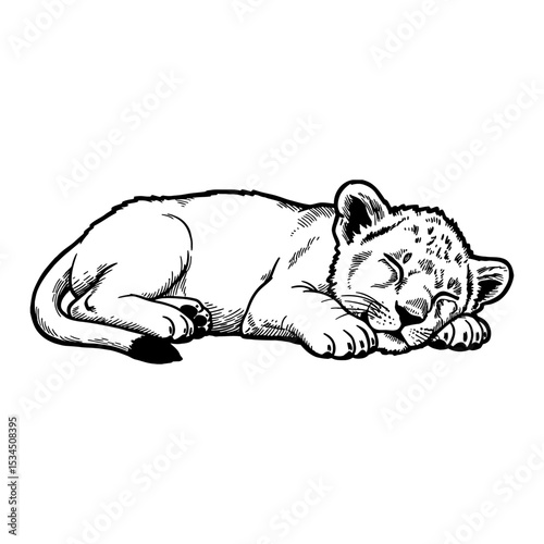 Sleeping Lying Lion Cub Black and White Outline Line Art Drawing Peaceful Animal Rest