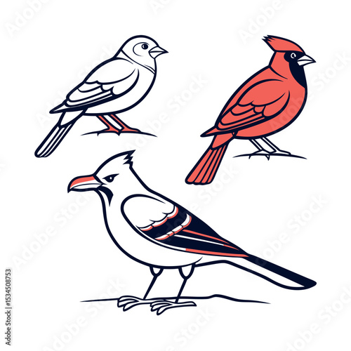 Elegant Bird Illustrations Cardinal, Finch, and Jay Designs