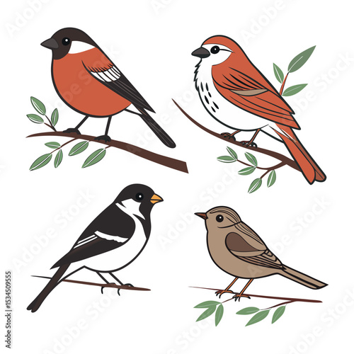 Charming Bird Illustrations A Collection of Four Unique Avian Species