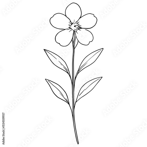 blooming flower