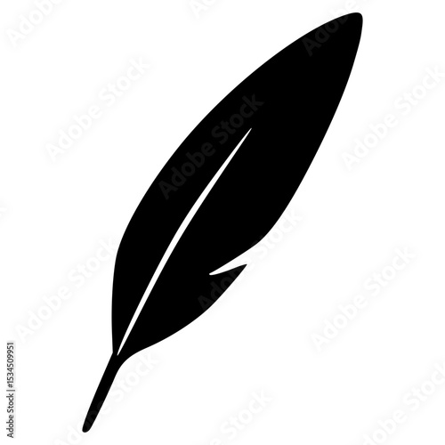black and white feather