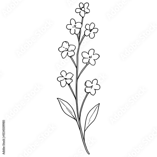 floral branch and minimalist flowers