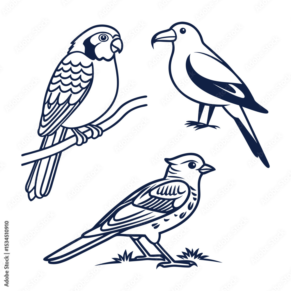 Fototapeta premium Set of 3 bird illustrations vector