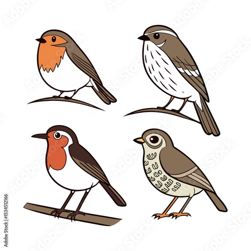Charming Collection of Bird Illustrations Robins, Thrushes, and More