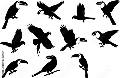 Silhouettes of various tropical birds in flight and perched.