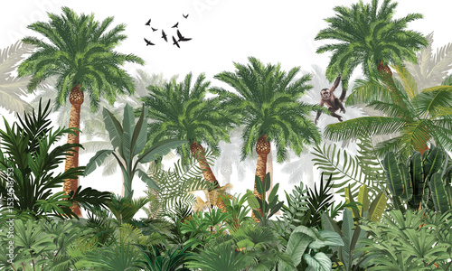 Photography Tropical Jungle Birds Wallpaper: Vibrant Monkey and birds in Green Foliage Scene