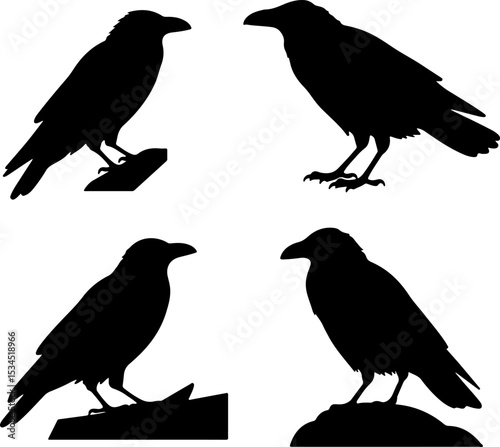 A set of four black silhouette crow images, showcasing different postures (perched, flying, etc.) against a plain white background.