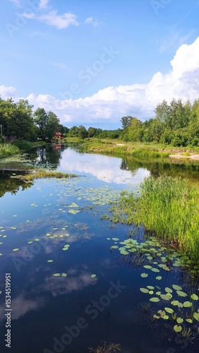 lake and forest ,lake in the forest