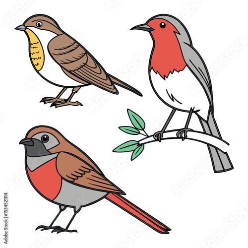 Vibrant Bird Illustrations Robin, Sparrow, and More