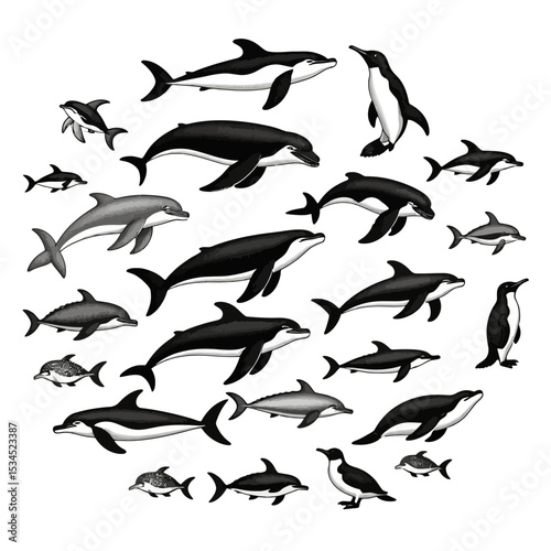 Dolphins and Penguins Illustration- Ocean Animals Artwork- Marine Life Clipart- Black and White Aquatic Creatures- Sea Animal Graphic for Design Projects