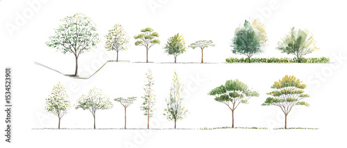 Vector illustration of set architectural trees for landscape design in a watercolor style