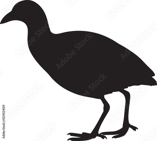 Black Crake Vector Silhouette