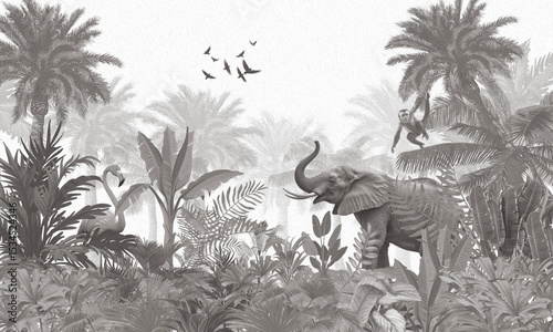 Photography Modern Wildlife Wall Mural: Black & White Elephant & Tropical Forest Background