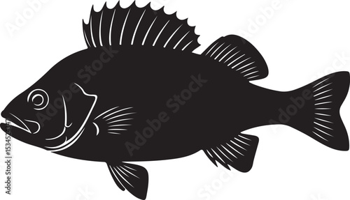 Climbing Perch Vector Silhouette