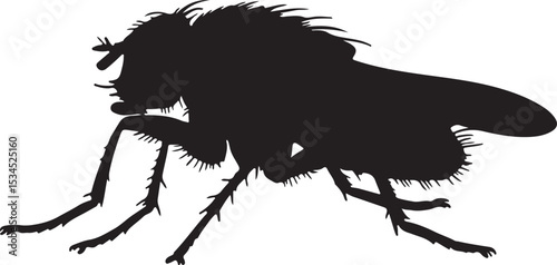 Hessian Fly Vector Silhouette
