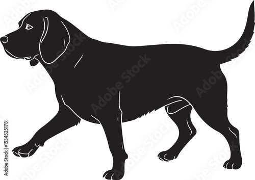 Bavarian Mountain Hound – Solid Black Silhouette and Outline Vector Set