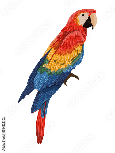 Scarlet macaw parrot. Realistic Vector South American and Caribbean Jungle Bird