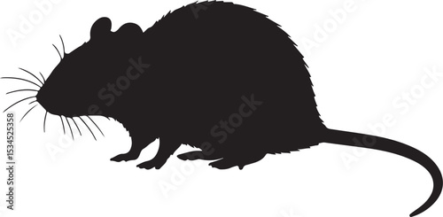 Indian Bush Rat Vector Silhouette