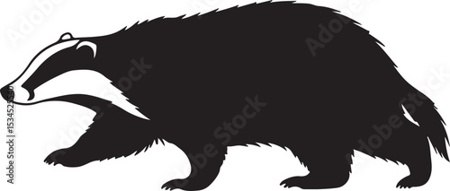 European Badger – Solid Black Silhouette and Outline Vector Set