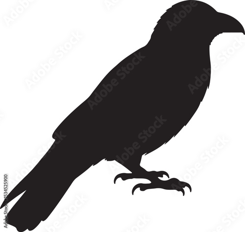 Jungle Crow Silhouette
