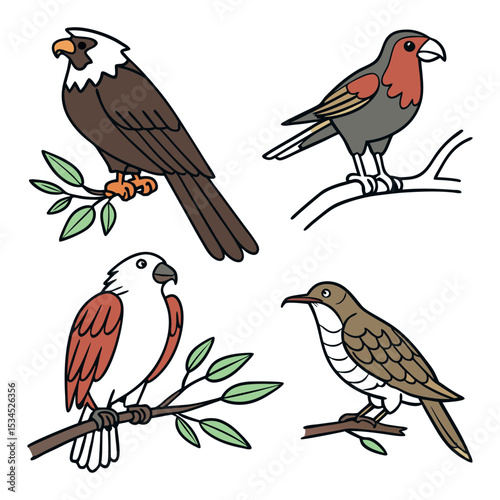 Majestic Birds A Collection of Avian Illustrations Featuring Eagles, Parrots, and More