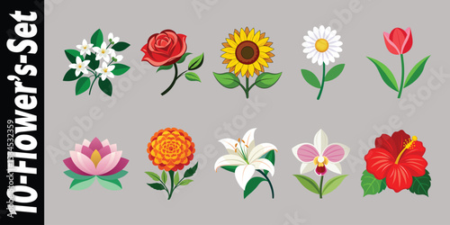 Ten colorful flower illustrations set for design projects 