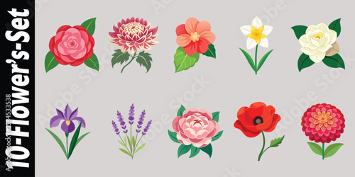 Ten colorful flower illustrations set for design projects 