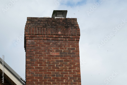 Honeybee swarm in brick chimney of a residential house