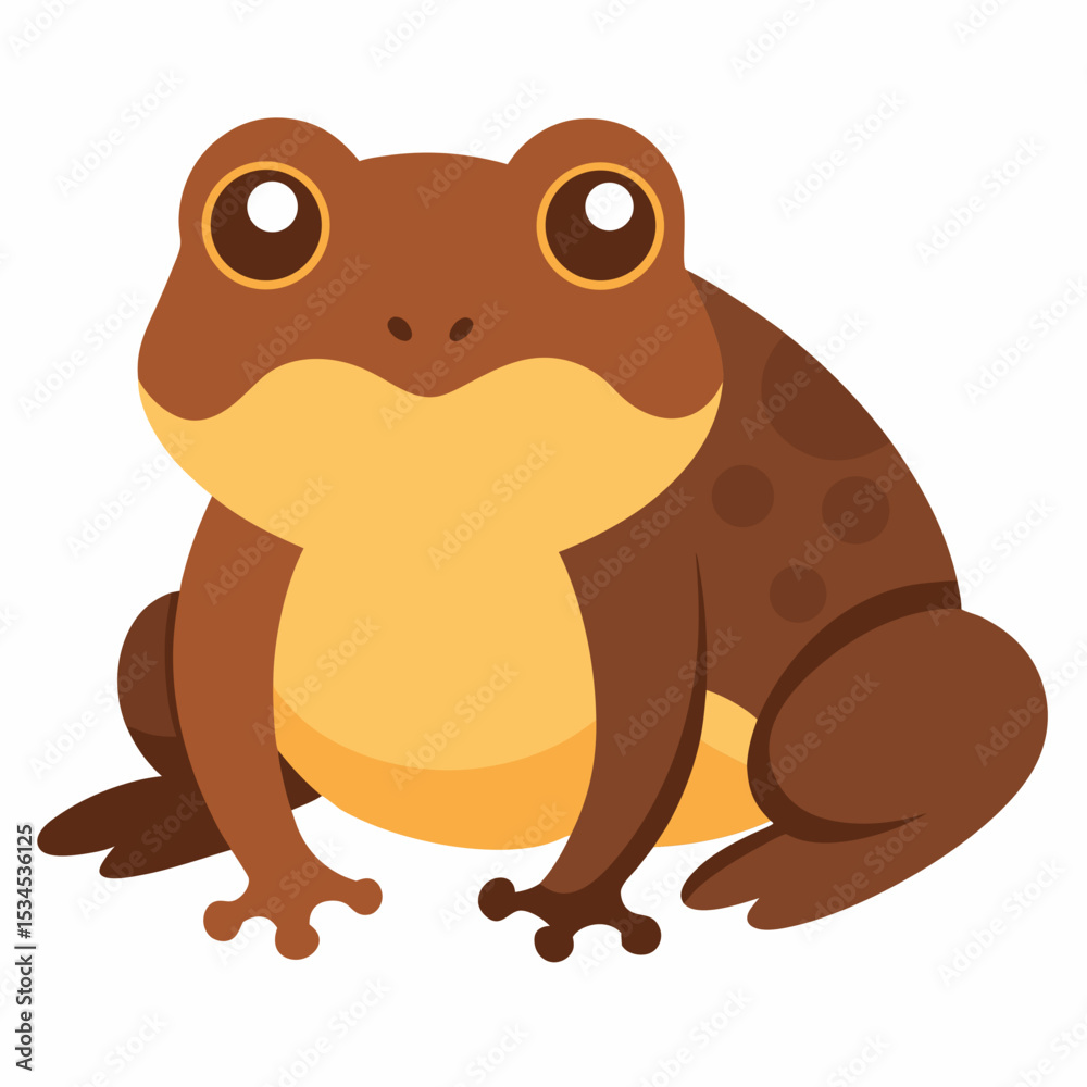 Obraz premium Burrowing Frog Vector on White