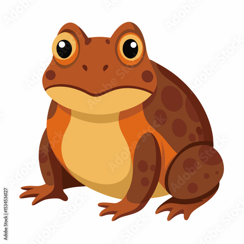 Burrowing Frog Vector on White