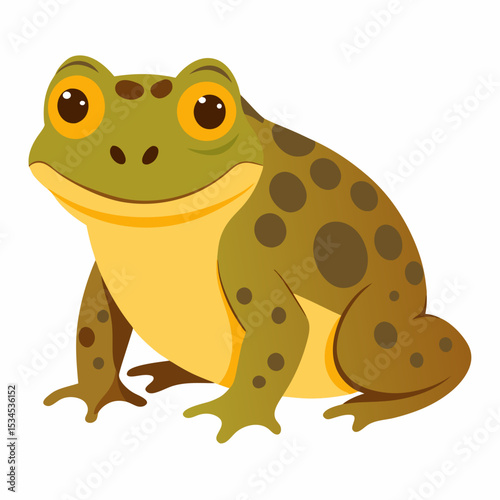 Burrowing Frog Vector on White
