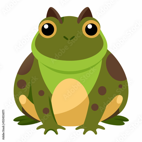 Burrowing Frog Vector on White