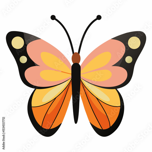 Minimal Butterfly Vector on White
