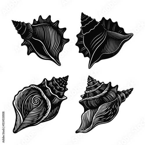 Seashell Silhouette bundle Spiral on White Background	
