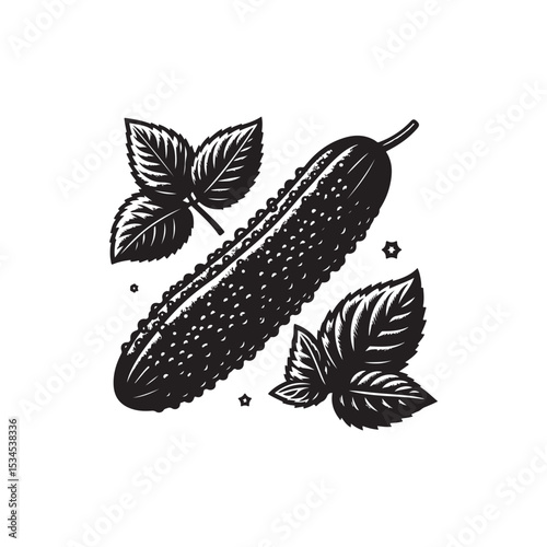 Cucumber Vector (3).eps