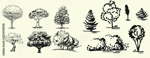 Hand-drawn tree illustration vector set featuring a variety of tree doodles in a minimal and organic line-art style.