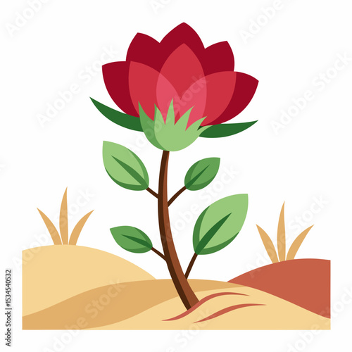 White Background Desert Bloom Vector