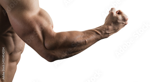 Strong male arm flexing against a transparent background  