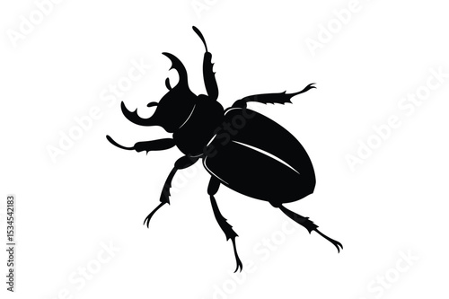 Beetle silhouette vector bundle  illustration