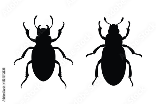 Beetle silhouette vector bundle  illustration
