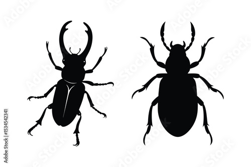 Beetle silhouette vector bundle  illustration