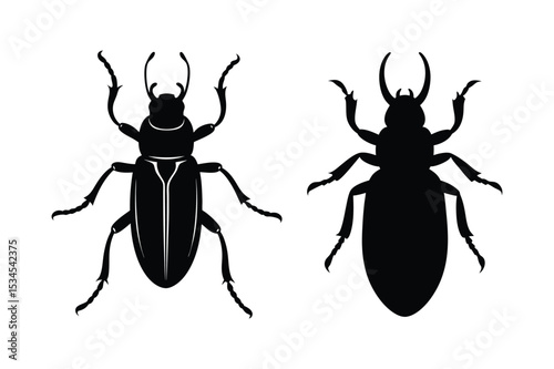 Beetle silhouette vector bundle  illustration