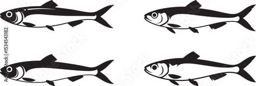 Anchovy Fish icon vector illustration