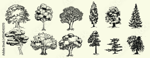 Hand-drawn tree illustration vector set featuring a variety of tree doodles in a minimal and organic line-art style.