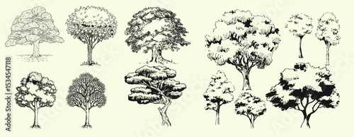 Hand-drawn tree illustration vector set featuring a variety of tree doodles in a minimal and organic line-art style.
