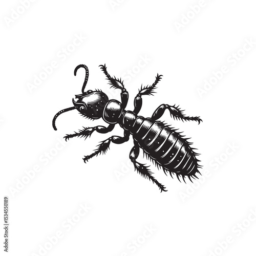 Termite Vector (1).eps