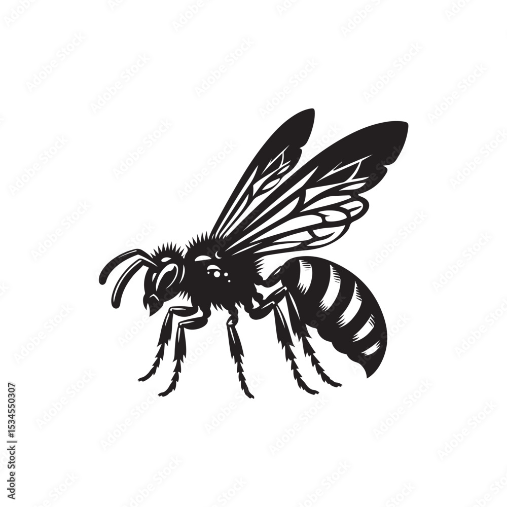 Obraz premium Wasp Vector (1).eps