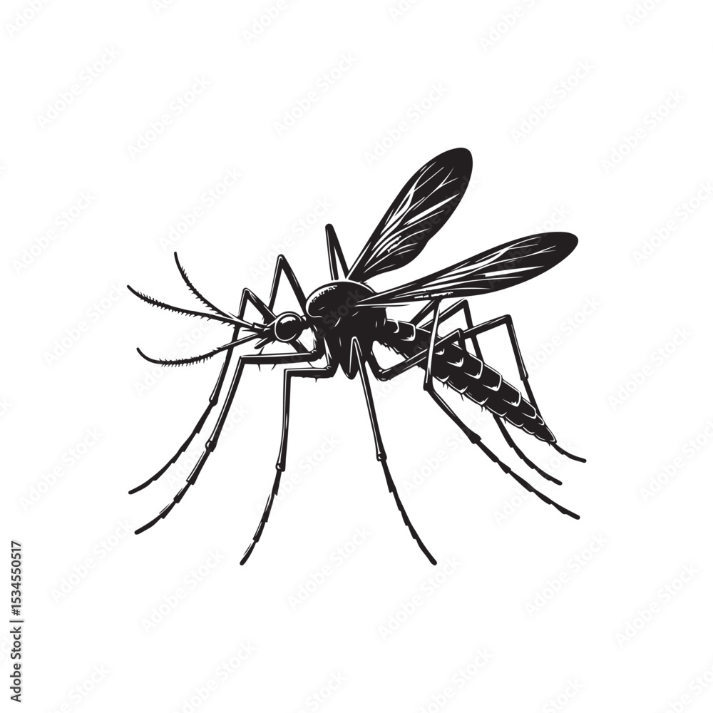 Obraz premium Water Strider Vector (4).eps