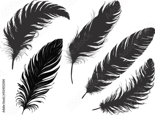 five medium black silhouettes of feathers isolated on white