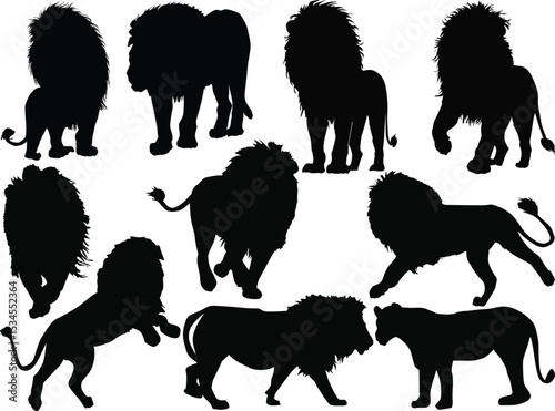 ten white lions isolated on white background